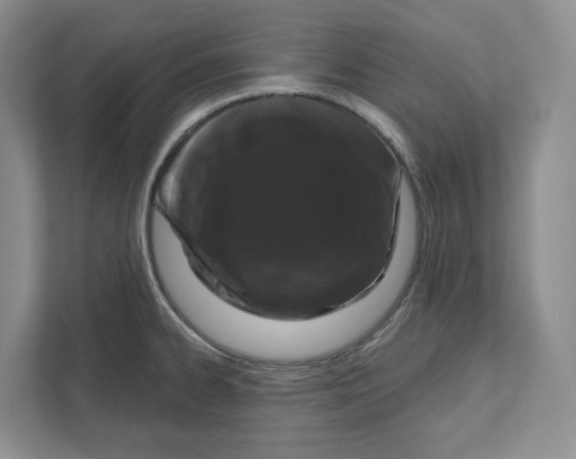 X0000111181334200907291135