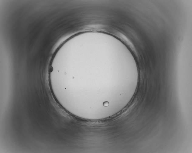 X0000111181336200907291135