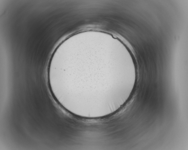 X0000111181341200907291136