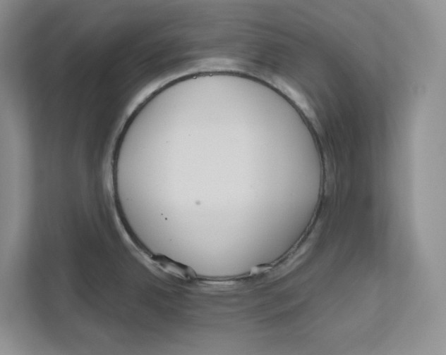 X0000111181342200907291136