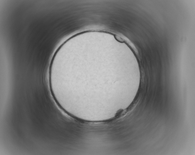 X0000111181343200907291136