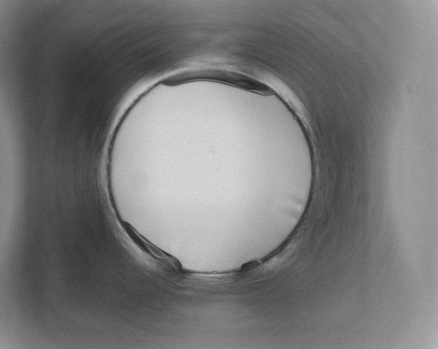 X0000111181344200907291136