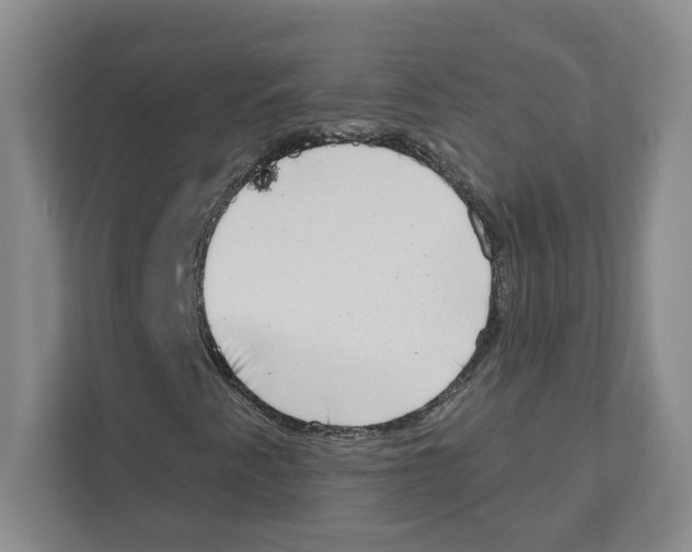 X0000111181345200907291135