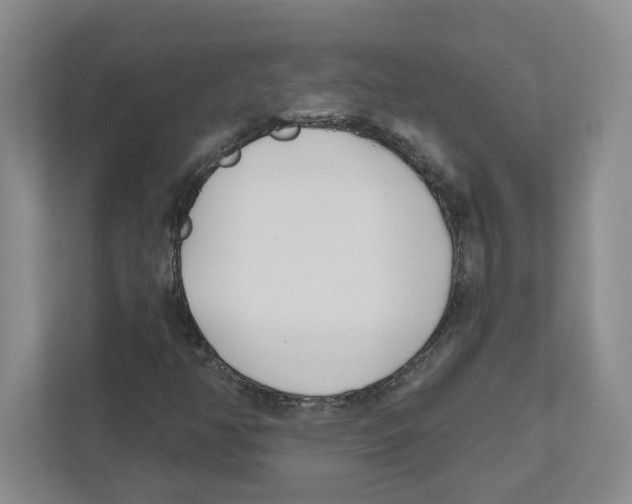 X0000111181350200907291135