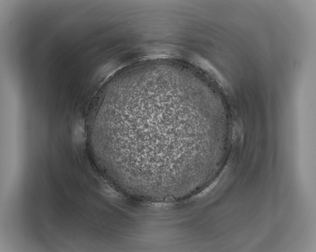 X0000111181353200907291135