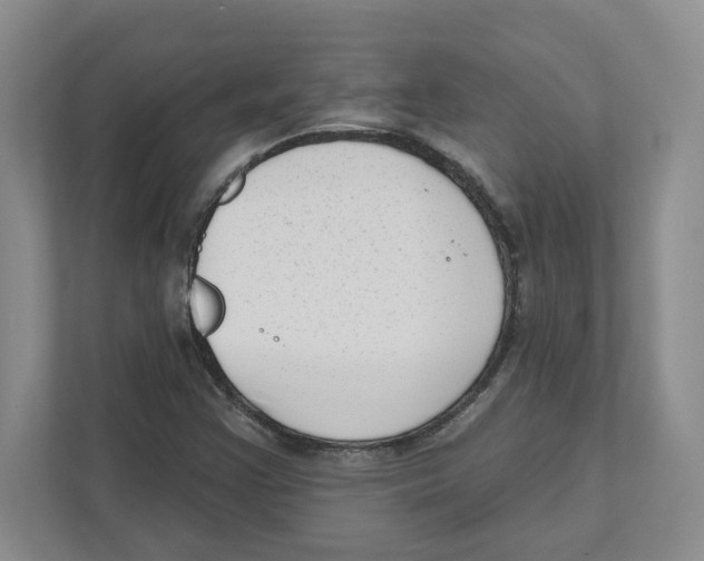 X0000111181355200907291135