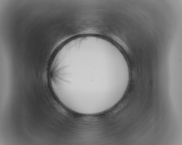 X0000111181356200907291135