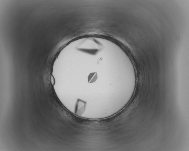 X0000111181359200907291135