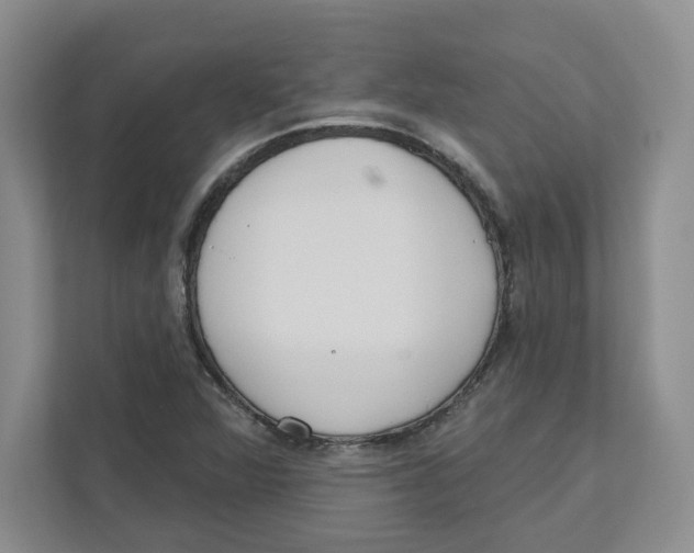 X0000111181360200907291135