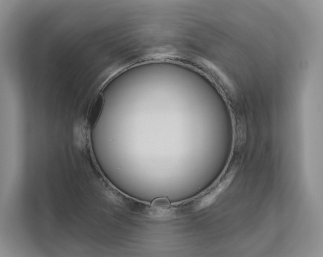 X0000111181361200907291135