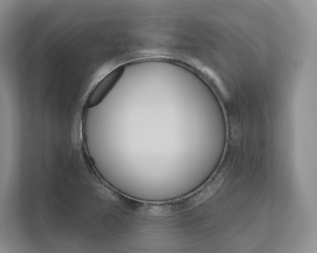 X0000111181365200907291135