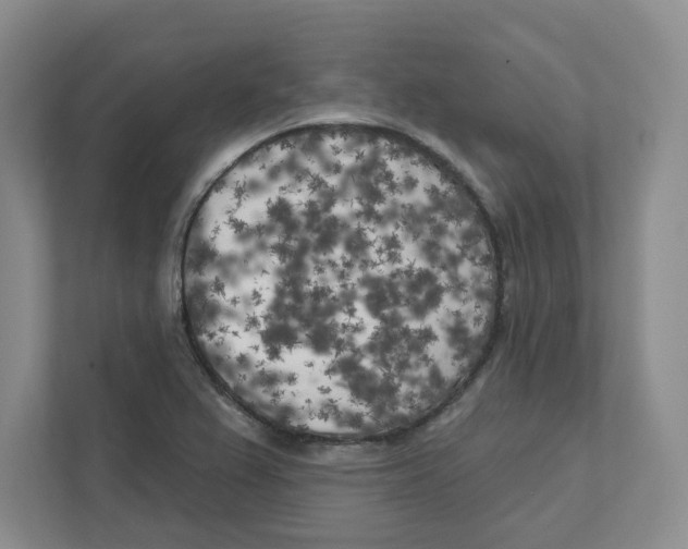 X0000111181367200907291135