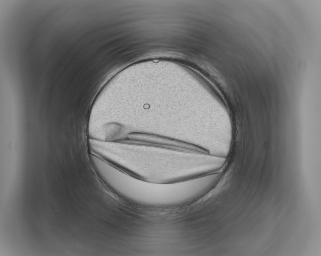 X0000111181369200907291135