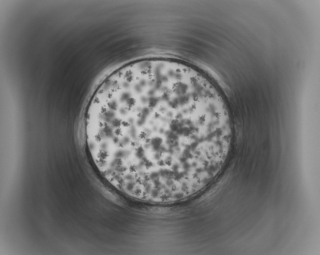 X0000111181371200907291135