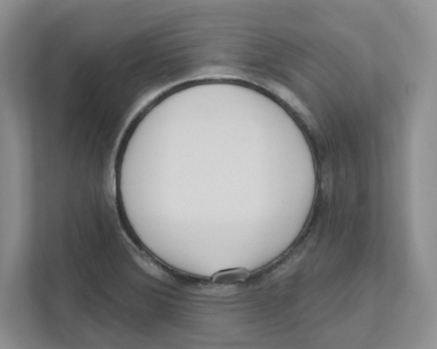 X0000111181372200907291135