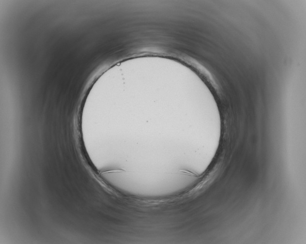 X0000111181373200907291135