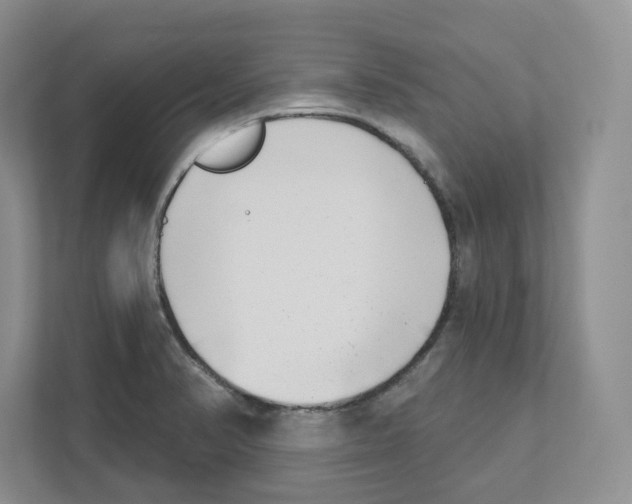 X0000111181374200907291135