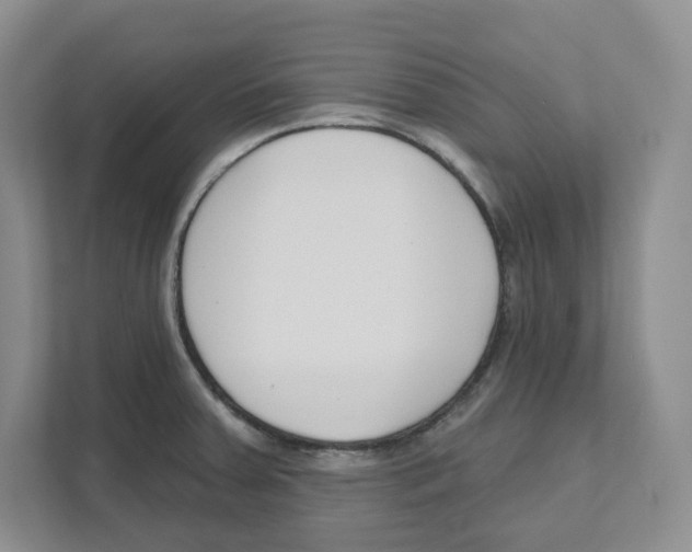 X0000111181379200907291135