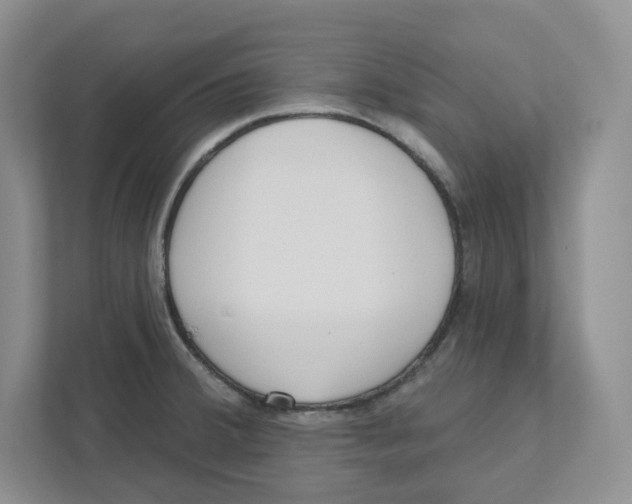 X0000111181380200907291135