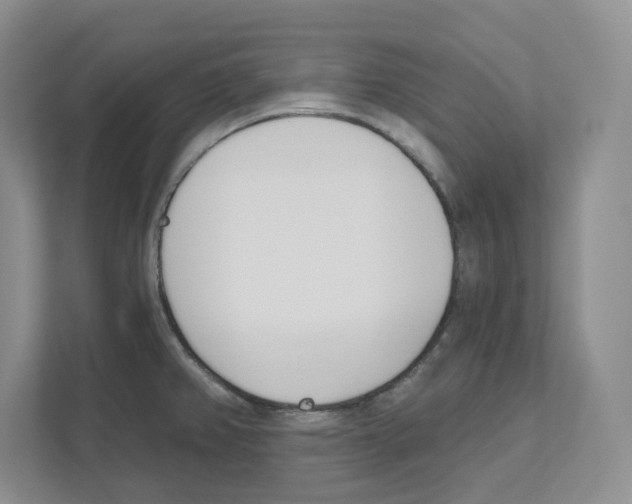 X0000111181382200907291134