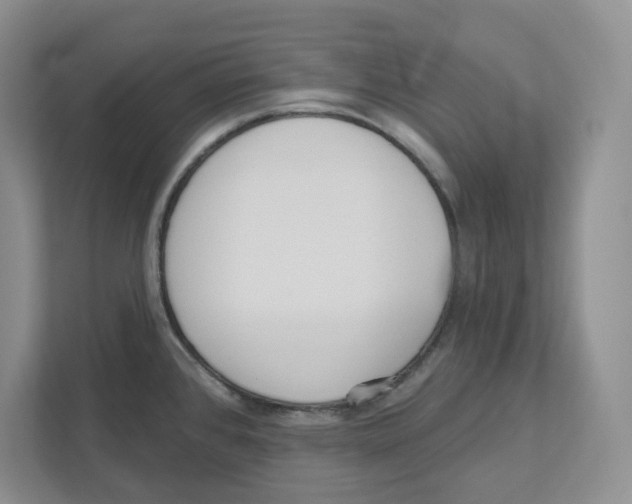 X0000111181384200907291134