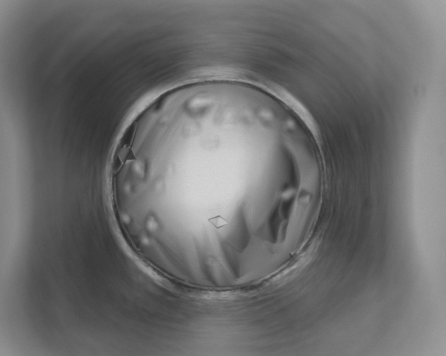 X0000111181389200907291134