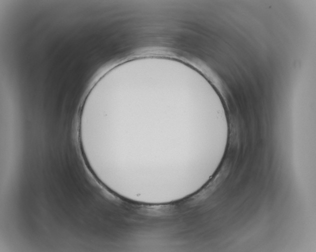 X0000111181390200907291134