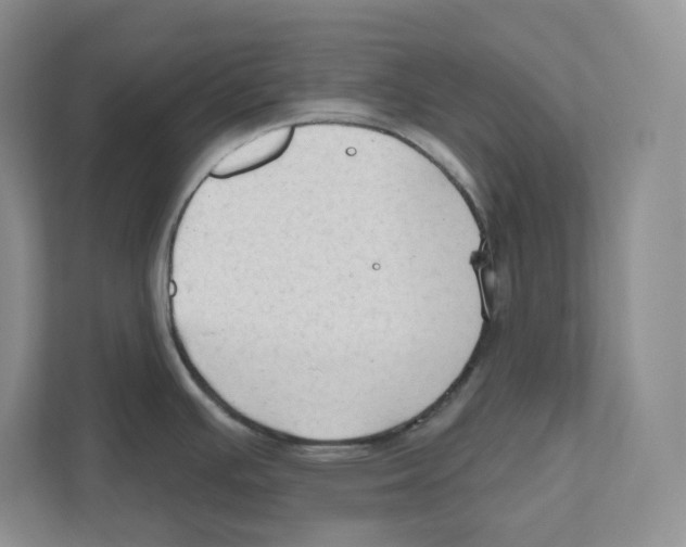 X0000111181391200907291134