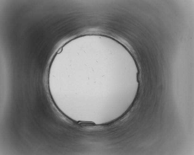 X0000111181392200907291134