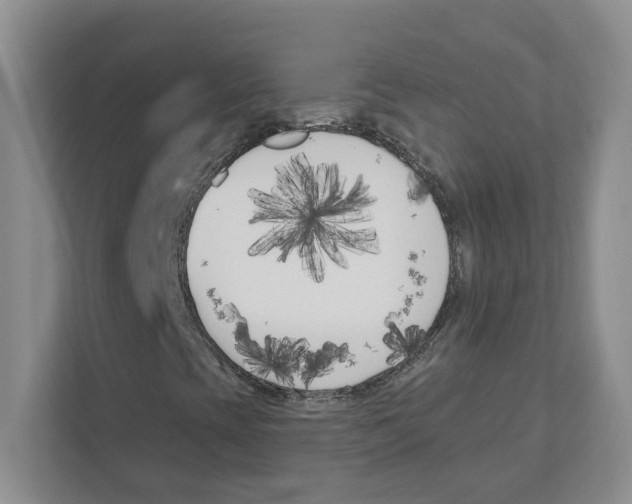 X0000111181393200907291134