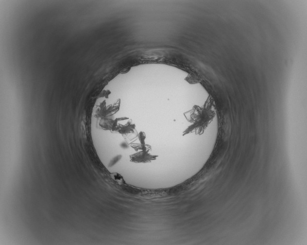 X0000111181394200907291134