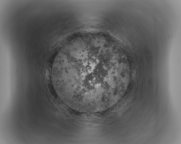 X0000111181397200907291134