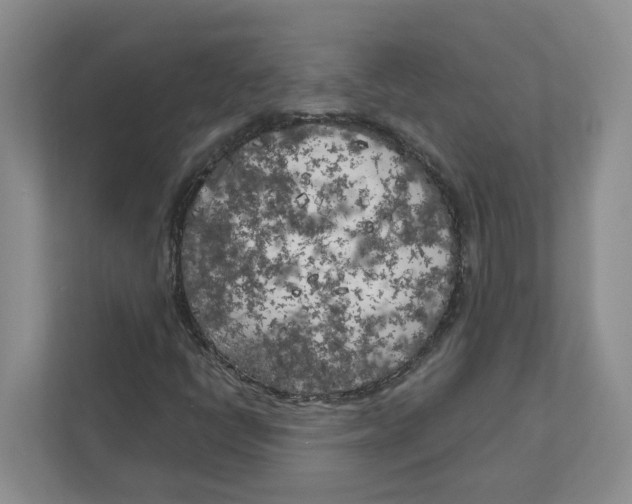 X0000111181398200907291134