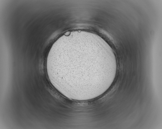 X0000111181403200907291134