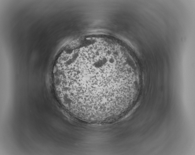 X0000111181405200907291134