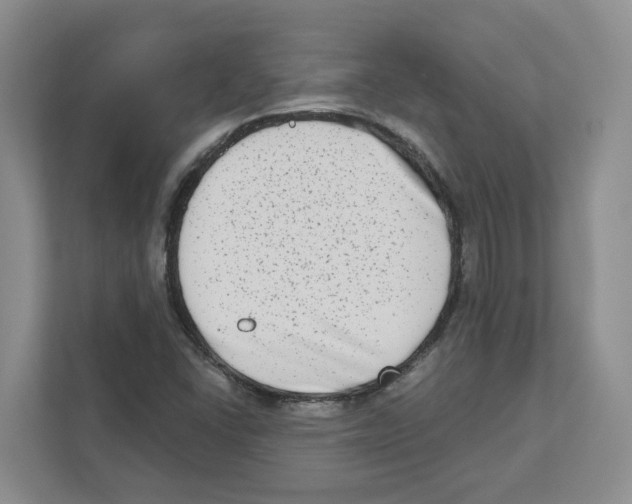 X0000111181406200907291134