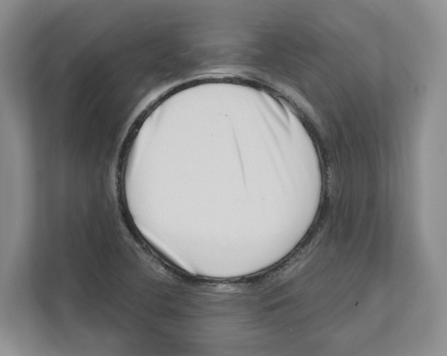 X0000111181412200907291134