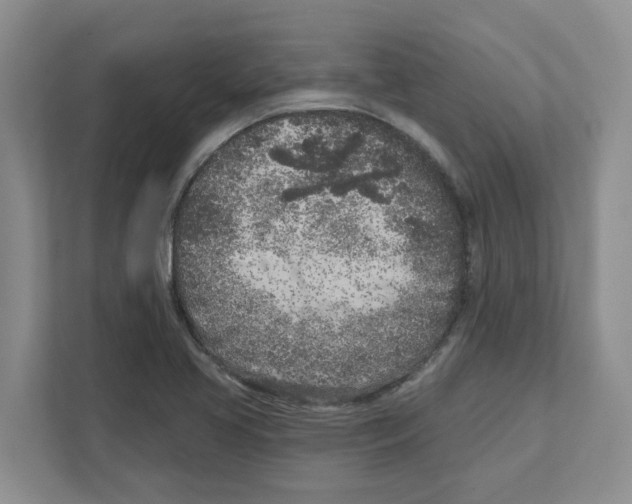 X0000111181413200907291134