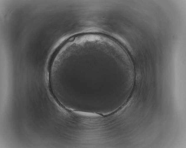 X0000111181414200907291134