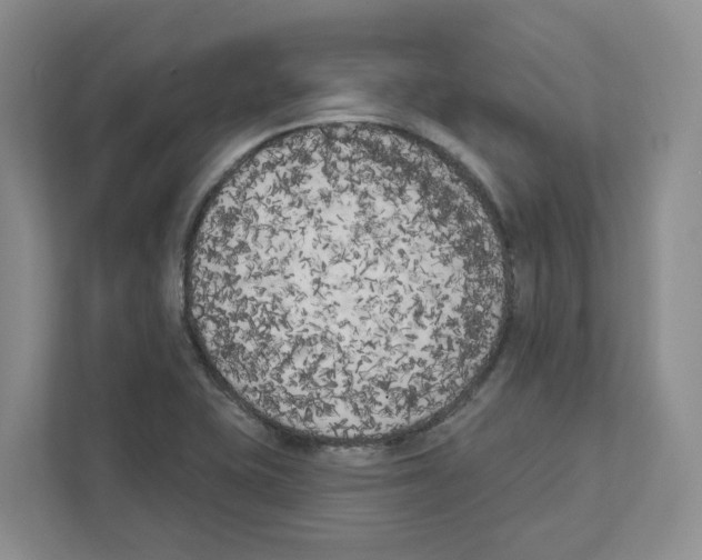 X0000111181415200907291134