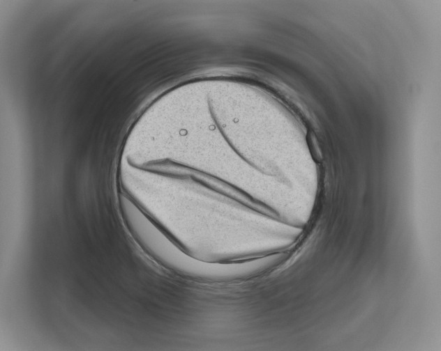 X0000111181417200907291134