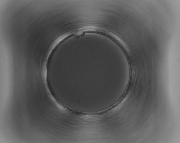 X0000111181418200907291134