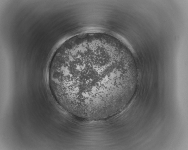 X0000111181419200907291134