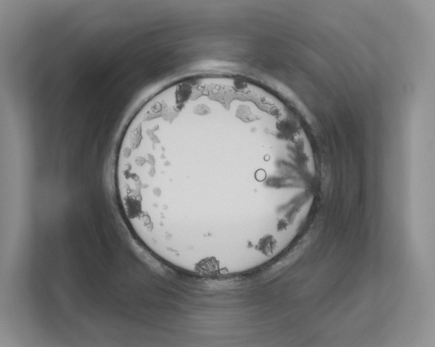 X0000111181421200907291134