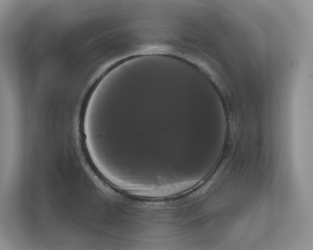 X0000111181422200907291134