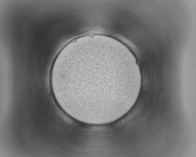 X0000111181423200907291134