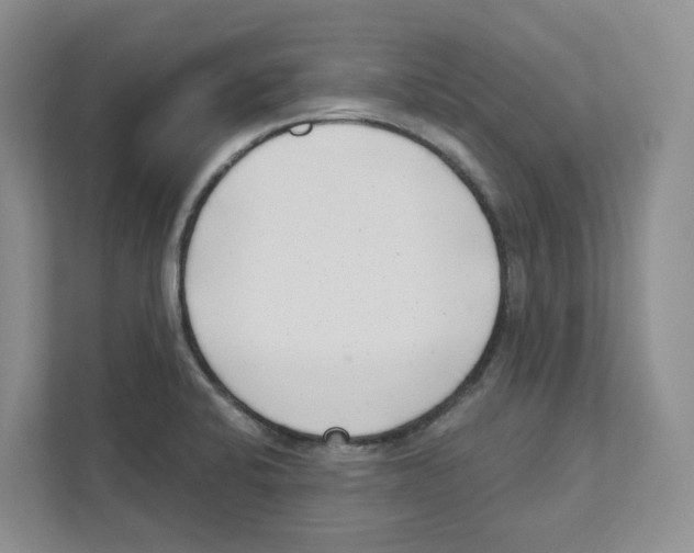 X0000111181424200907291134