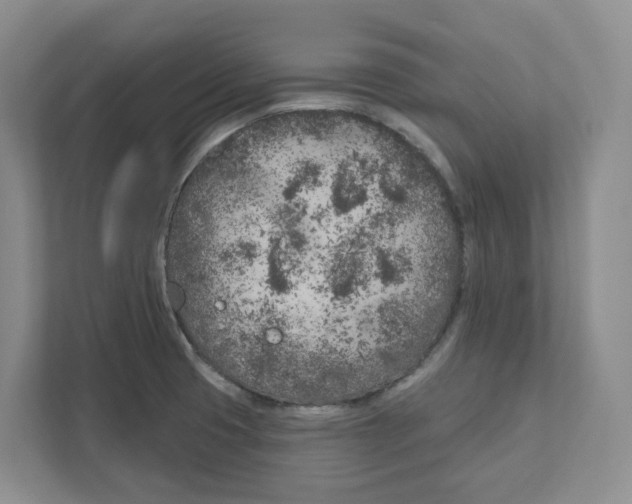 X0000111181425200907291134