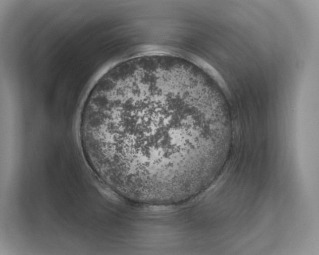 X0000111181427200907291134