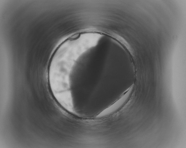 X0000111181428200907291134